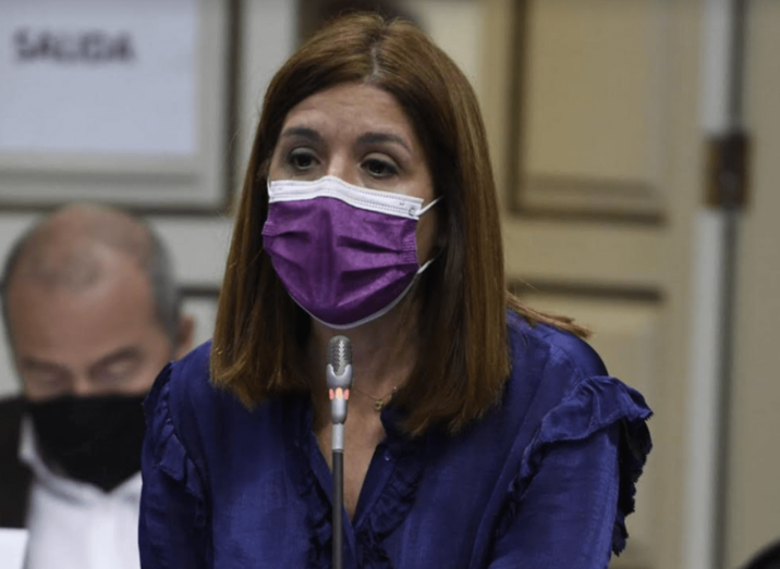 Carmen Hernández, en el Parlamento / TA